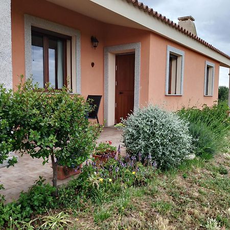 Agriturismo Gli Olivastri Appartamento Corbezzolo Con Piscina E Vista Mare,Climatizzatore,Wifi Aglientu Bagian luar foto