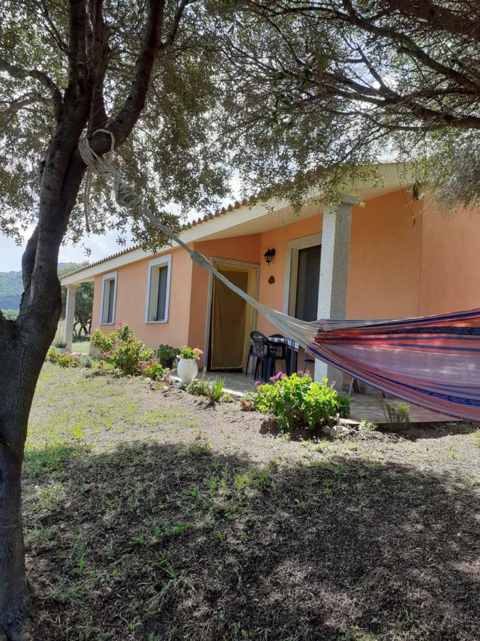 Agriturismo Gli Olivastri Appartamento Corbezzolo Con Piscina E Vista Mare,Climatizzatore,Wifi Aglientu Bagian luar foto